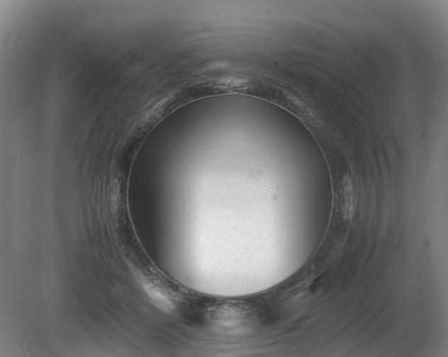 X0000081430412200701191627