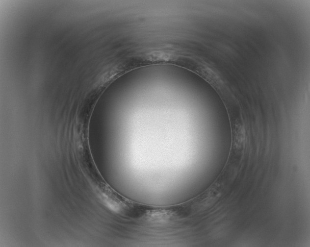 X0000081430414200701191627