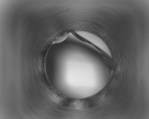 X0000081430416200701191627