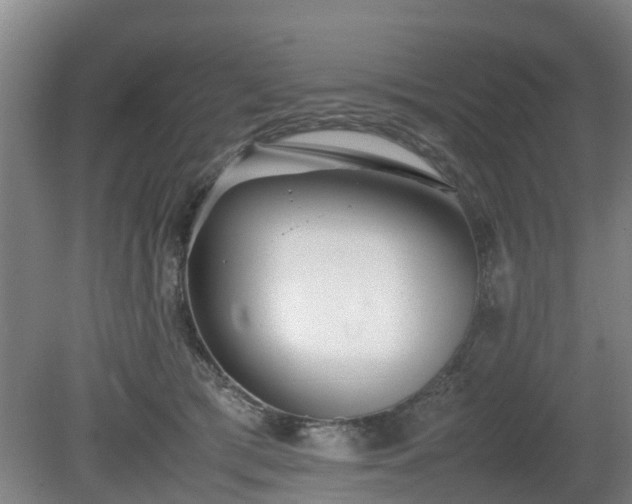 X0000081430417200701191627