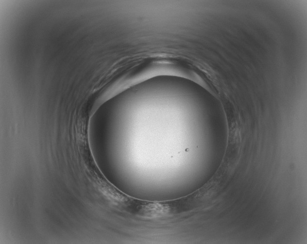X0000081430421200701191627