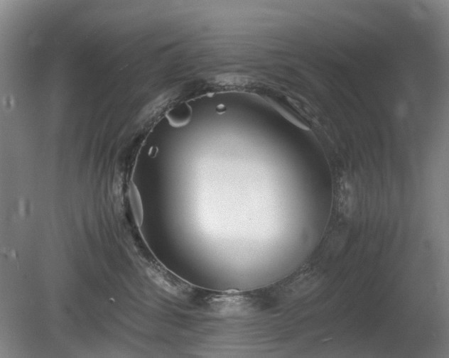 X0000081430428200701191627