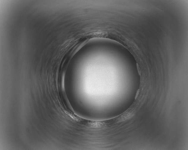 X0000081430432200701191627