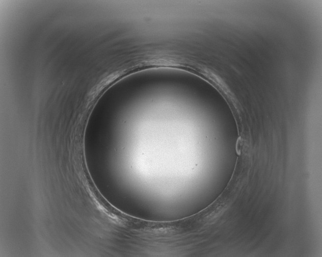 X0000081430433200701191626