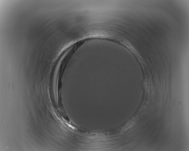 X0000081430434200701191626