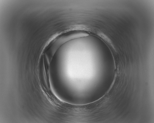X0000081430436200701191626