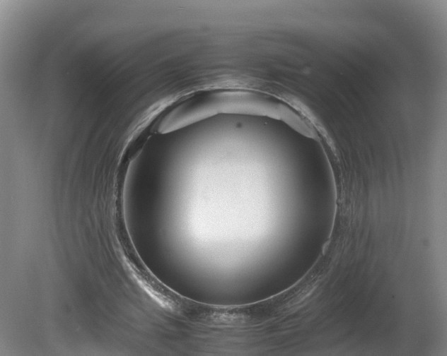X0000081430437200701191626