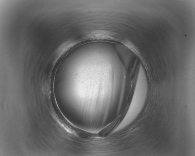 X0000081430438200701191626