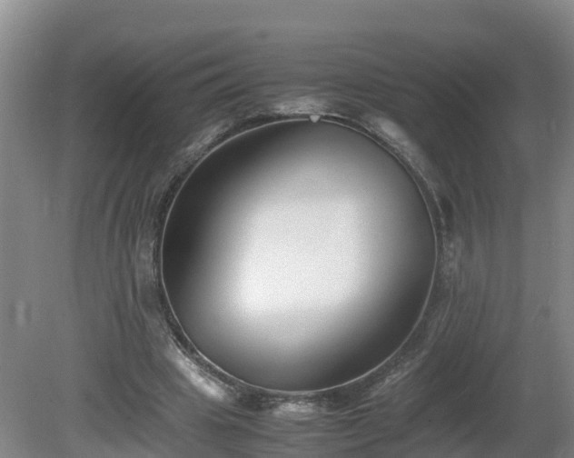 X0000081430441200701191626