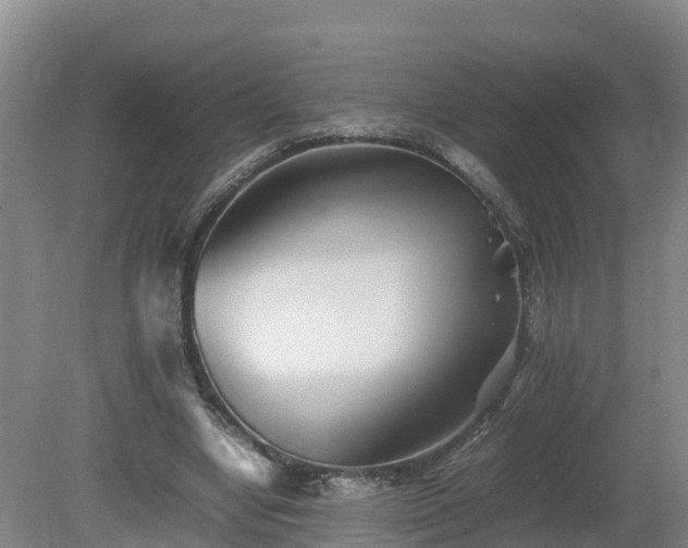 X0000081430442200701191626