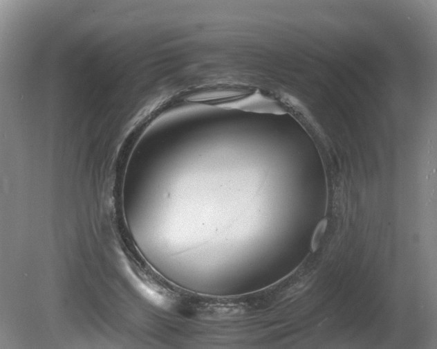 X0000081430443200701191626