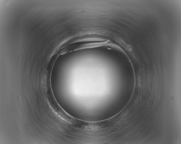 X0000081430444200701191626