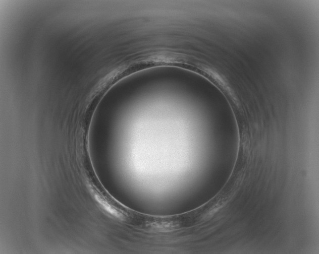 X0000081430445200701191626