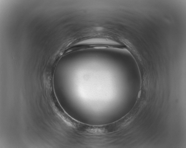 X0000081430449200701191626