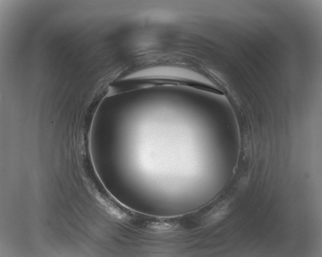 X0000081430453200701191626