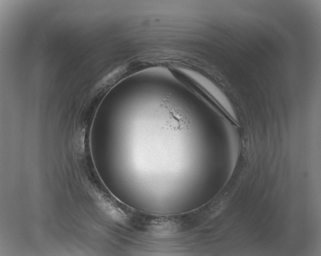 X0000081430454200701191626