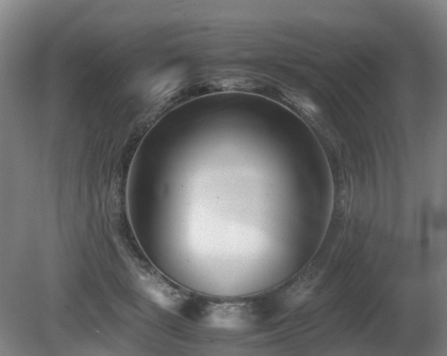X0000081430461200701191626