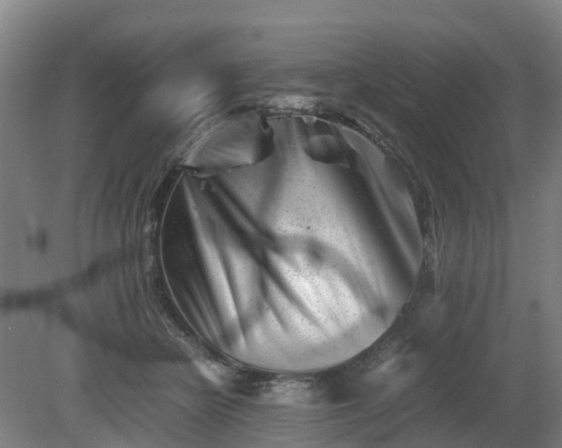 X0000081430462200701191626