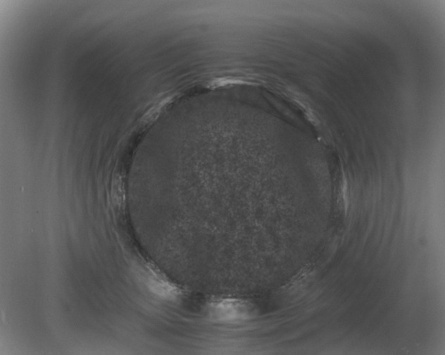 X0000081430467200701191626