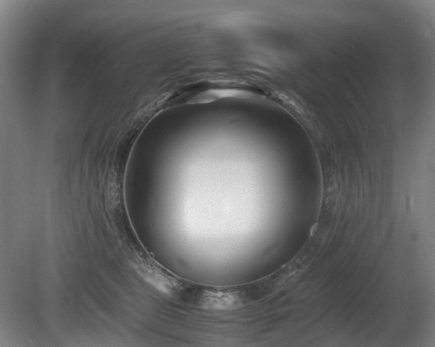 X0000081430469200701191626