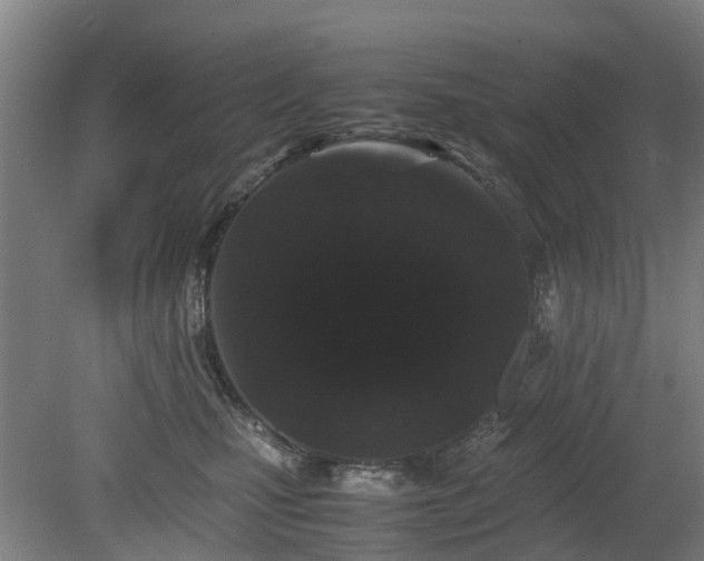 X0000081430471200701191626