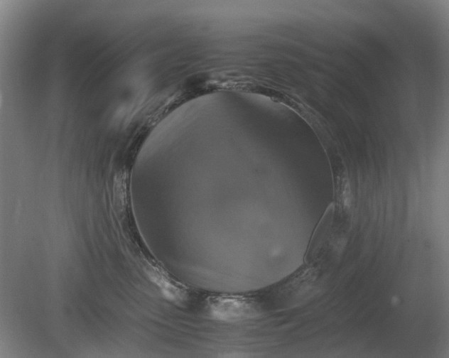 X0000081430475200701191626