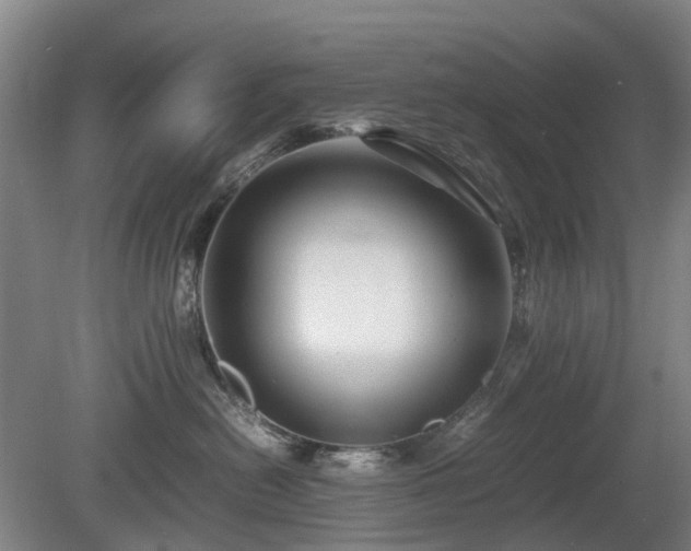 X0000081430478200701191627