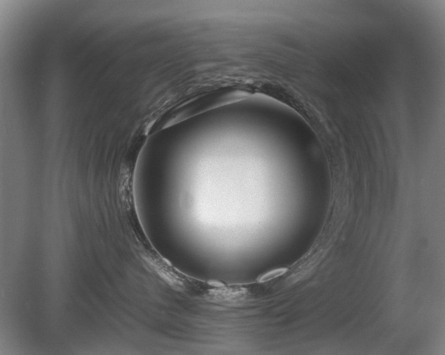 X0000081430480200701191627