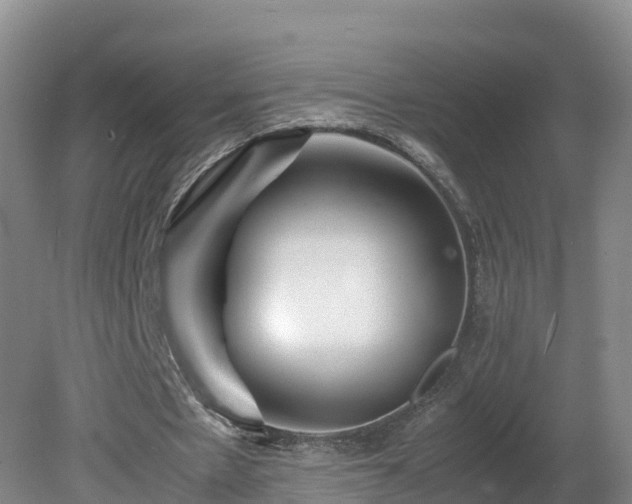 X0000081430481200701191626