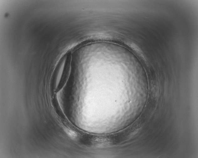 X0000081430487200701191626