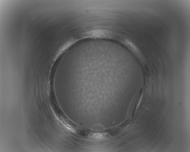 X0000081430488200701191626