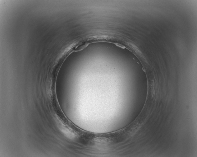 X0000081430490200701191626