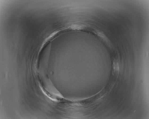 X0000081430492200701191626