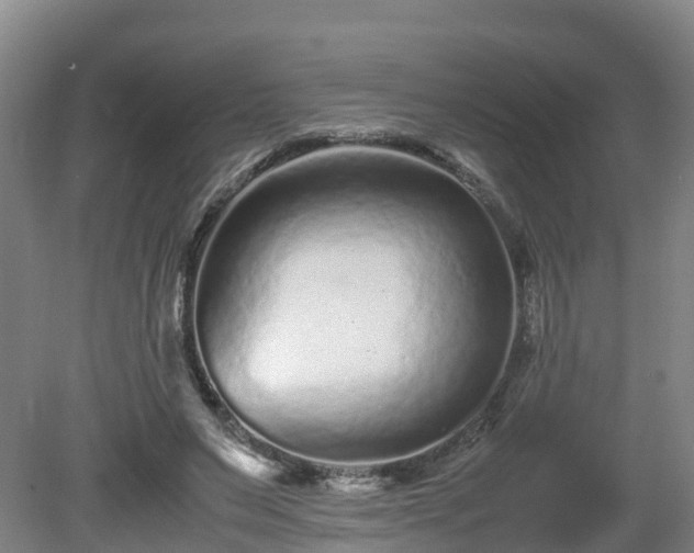 X0000081430495200701191626