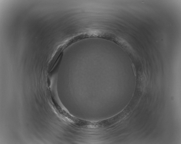 X0000081430496200701191626