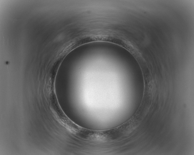 X0000081430498200701191625