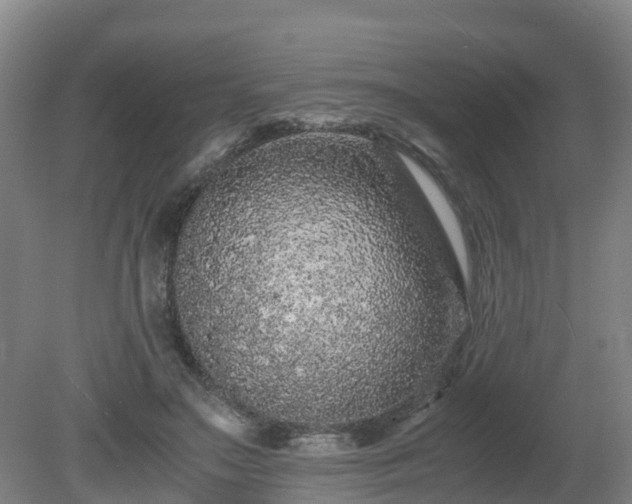X0000081430499200701191625