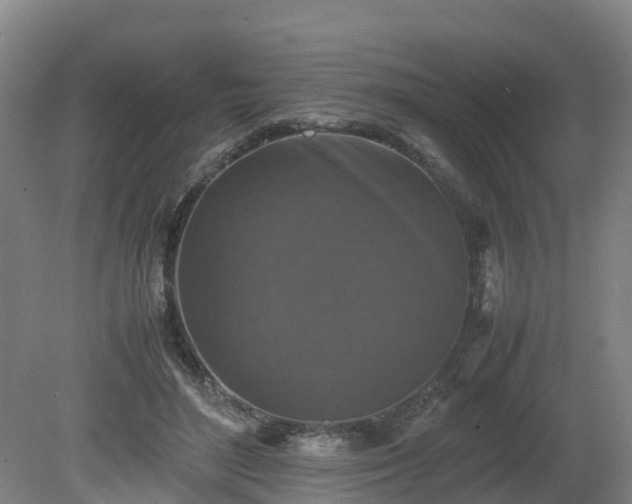 X0000081430500200701191625