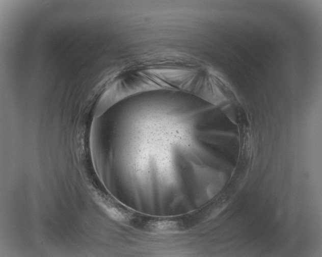 X0000081430501200701191625