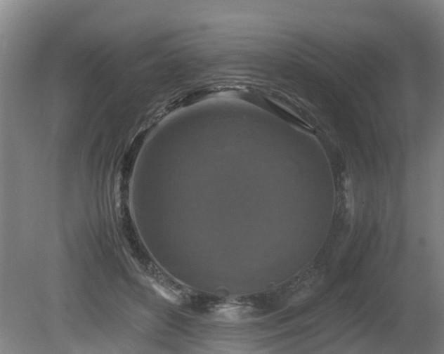 X0000081430504200701191625