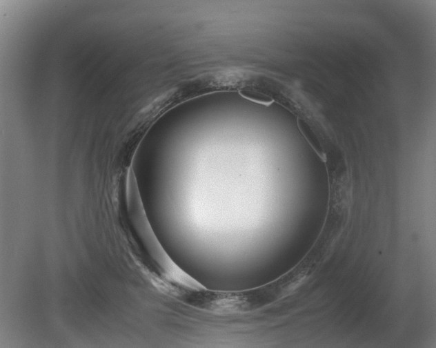 X0000081430505200701191625