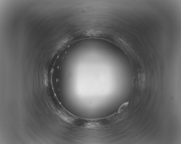 X0000081430508200701191625