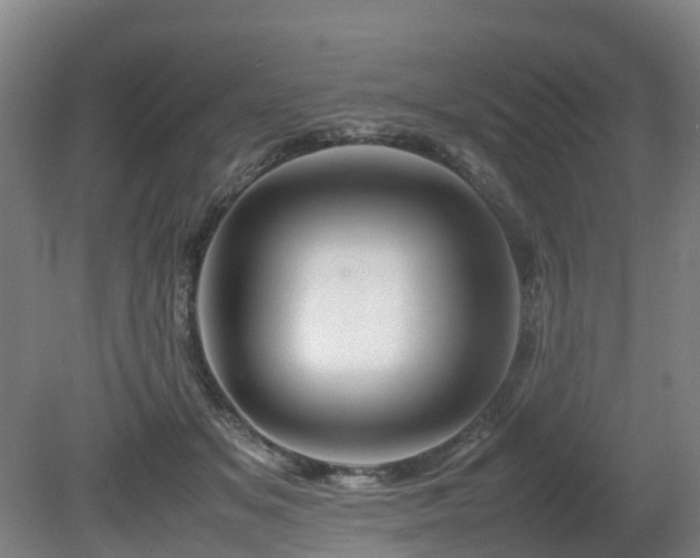 X0000081430509200701191625