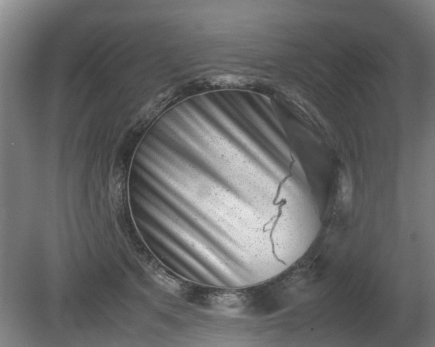 X0000081430513200701191625