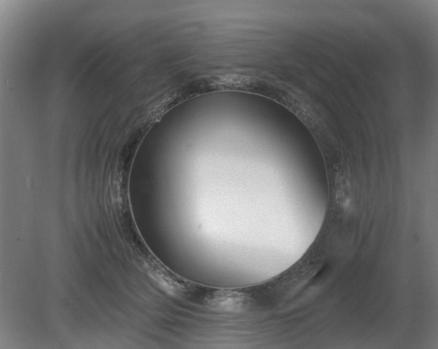 X0000081430514200701191625