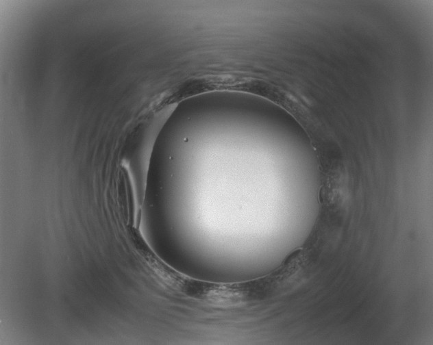 X0000081430515200701191625
