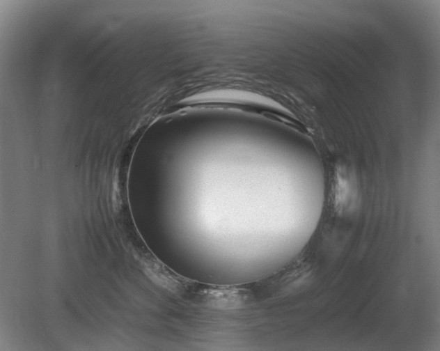X0000081430524200701191625