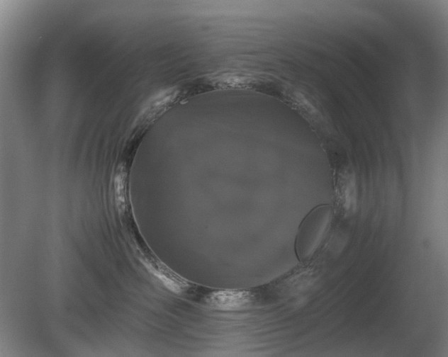 X0000081430526200701191625