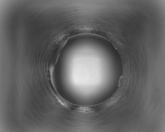 X0000081430528200701191625
