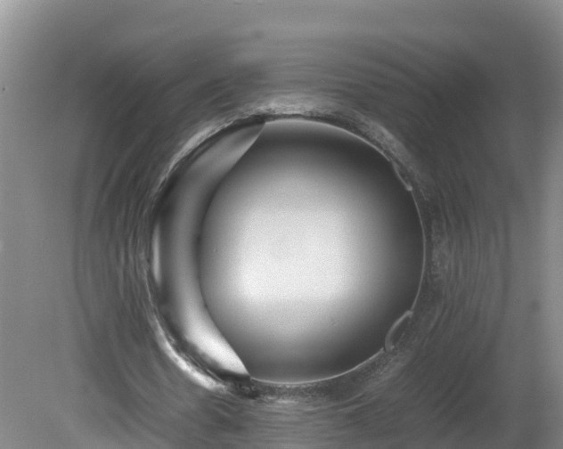 X0000081430530200701191624